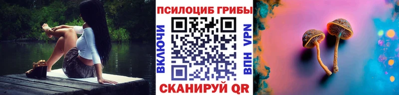 Галлюциногенные грибы GOLDEN TEACHER Купить Сыктывкар